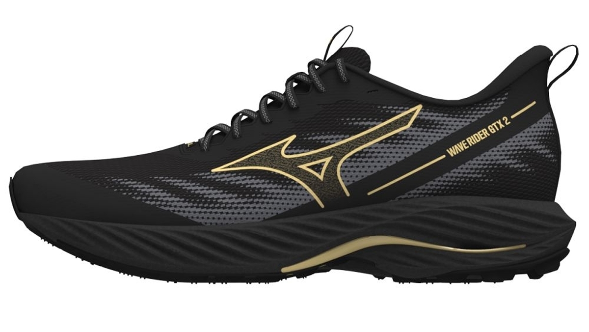 Mizuno Wave Rider GTX 2 J1GC247901 EUR 44,5